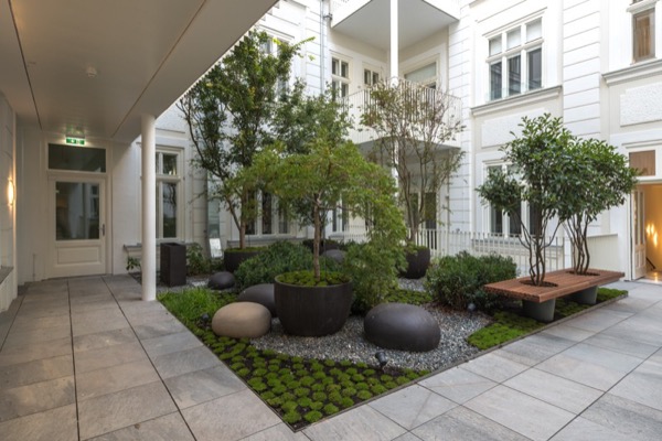 Übergangswohnung De luxe Wohnung Berggasse 1: 